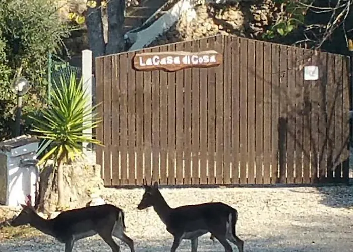 La Casa Di Cosa