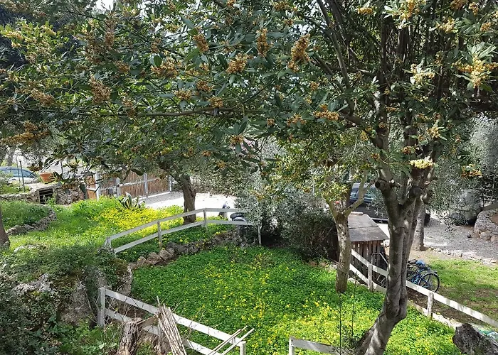La Casa Di Cosa
