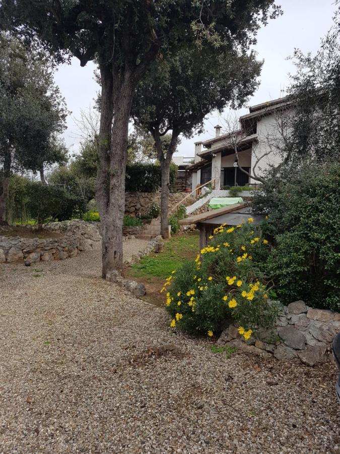 La Casa Di Cosa Ansedónia