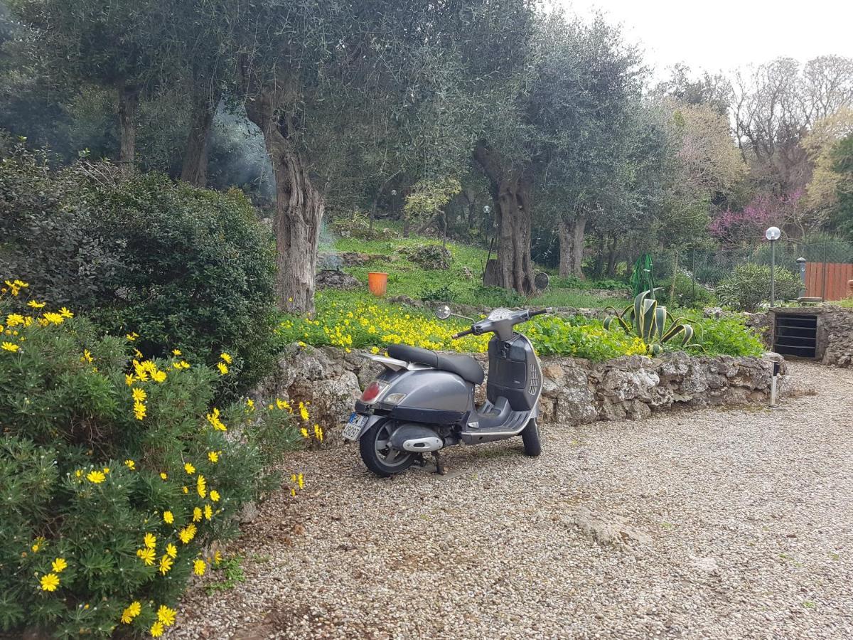 La Casa Di Cosa * Ansedónia