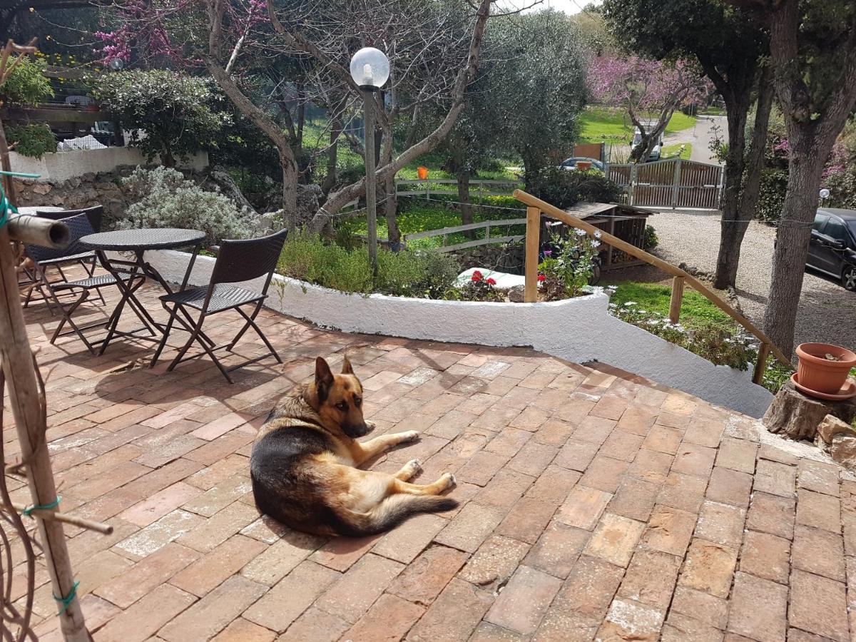 Alojamento de Acomodação e Pequeno-almoço La Casa Di Cosa Ansedónia