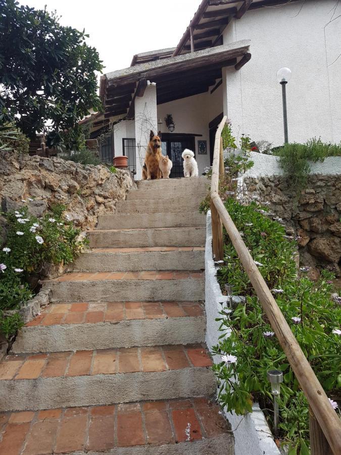La Casa Di Cosa